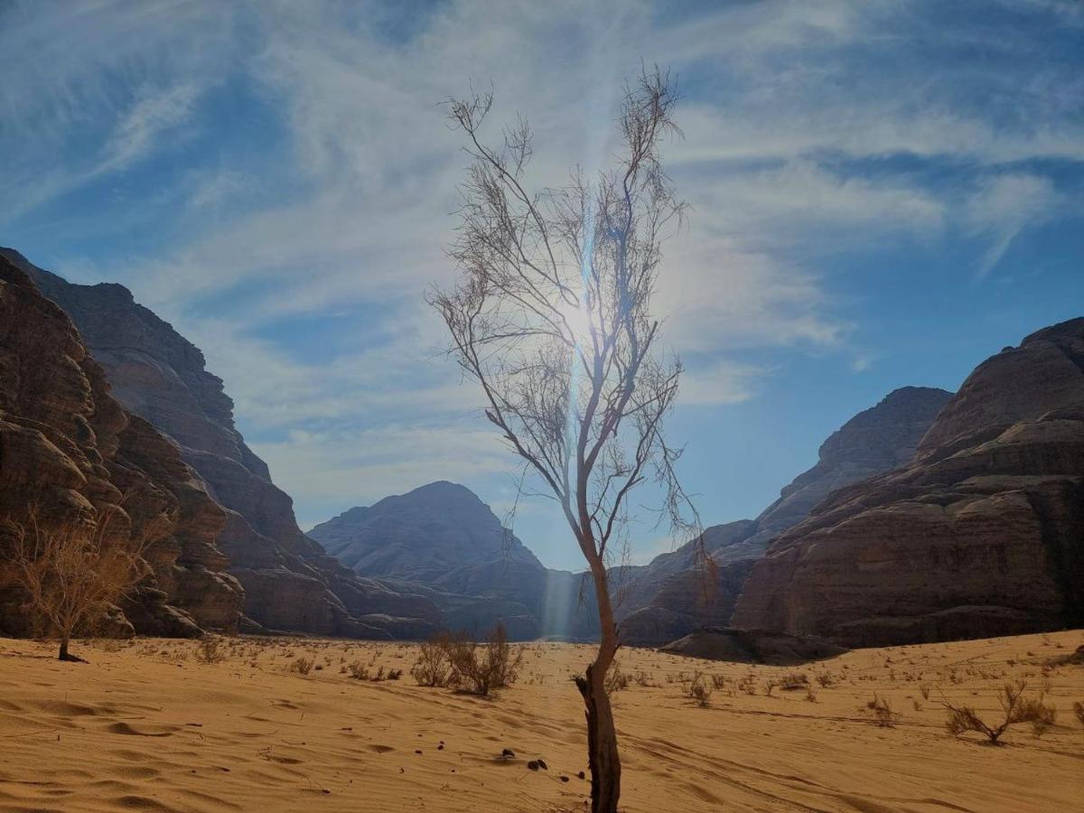 Wadi Rum Oscar Camp Exteriör bild