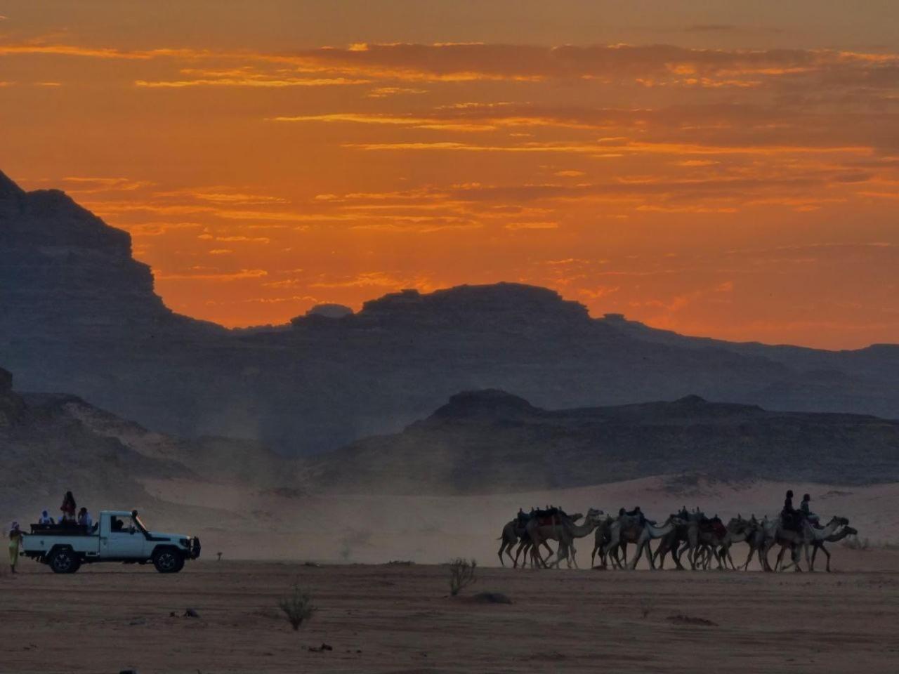 Wadi Rum Oscar Camp Exteriör bild
